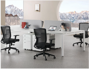 Linea Desk with Storage Cabinet Office Furniture White 2 Person Workstation 