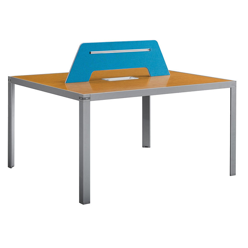2 Person Office Table Bench Table Workstation with Penal